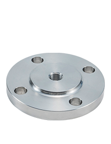 Carbon Steel Flanges